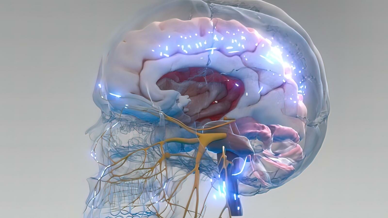 depressione: una malattia del cervello