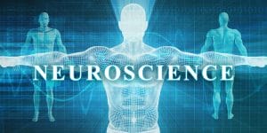 Neuroscienze e Psicoanalisi: incontro con Giacomo Rizzolatti e Antonio Alberto Semi