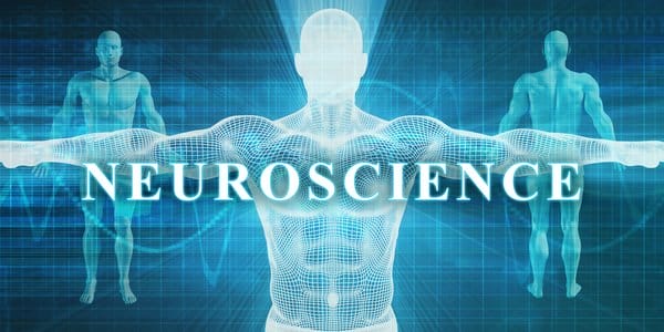 Neuroscienze e Psicoanalisi: incontro con Giacomo Rizzolatti e Antonio Alberto Semi