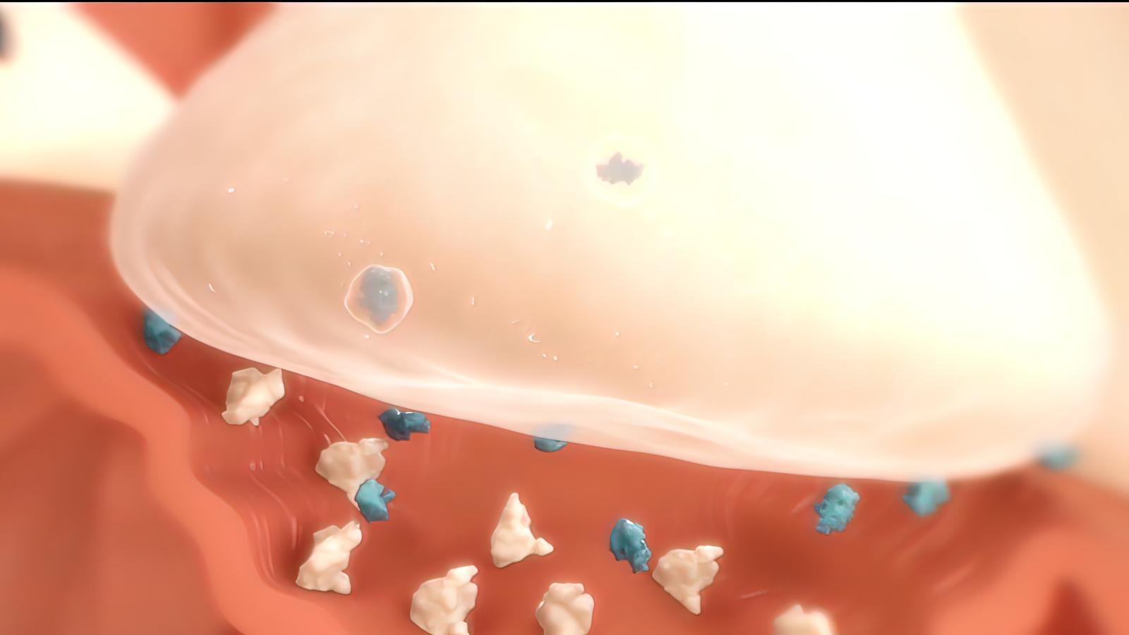 serotonina nella sinapsi