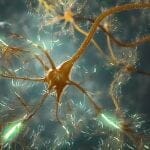 microglia nell'ansia