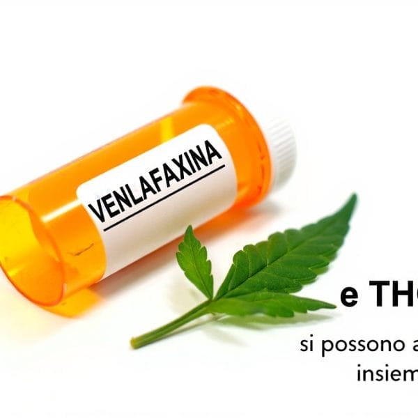 interazioni tra venlafaxina e THC si possono assumere insieme